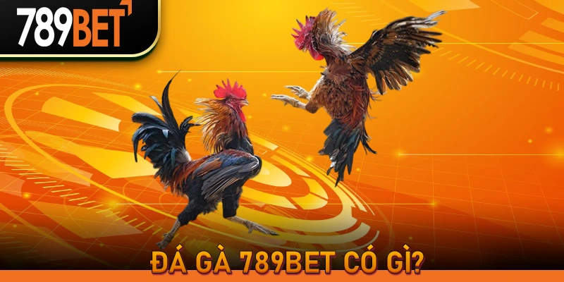 Đá Gà 789BET có gì