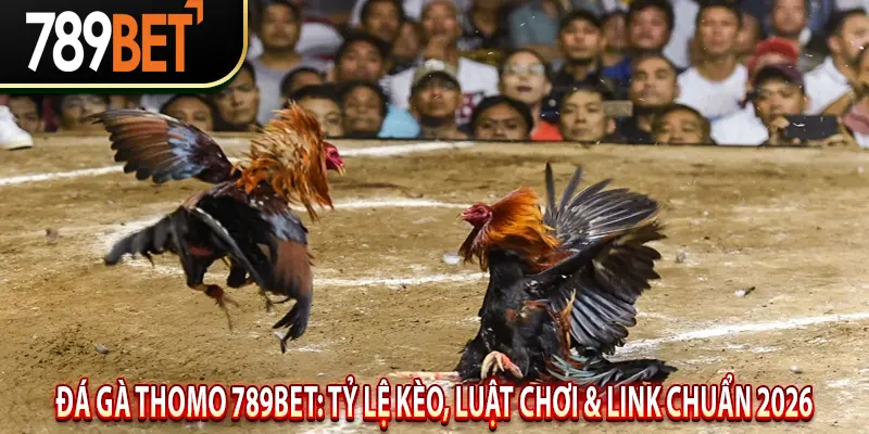 Đá Gà Thomo 789BET: Tỷ Lệ Kèo, Luật Chơi & Link Chuẩn 2026