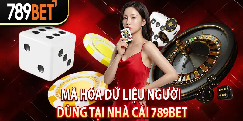 Tường lửa và mã hóa dữ liệu người dùng tại Nhà cái 789BET